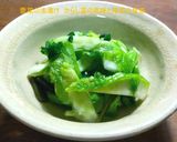美味しい青唐辛子の塩漬け　（少量）作り方12写真