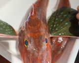 ほうぼうのお吸い物～魚の駅生地～作り方1写真