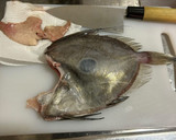 マトウダイの酒蒸し～魚の駅生地～作り方3写真