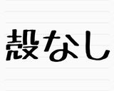 コンビニのゆで卵(塩味)作り方8写真