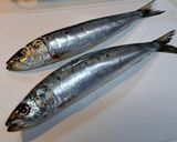 パパの晩御飯Ver.202302090作り方1写真