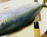 ★【はまち1匹で握り寿司】約40貫作り方3写真