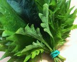 大葉を長持ちさせる方法作り方4写真