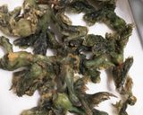 春の食材♪タラの芽の天ぷら♡旨い!作り方2写真