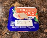 固めるだけヨーグルトアイス作り方1写真