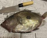 まとうだいのムニエル肝ソース～魚の駅生地作り方2写真