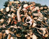 ひじき大豆煮作り方28写真
