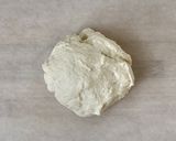 こねる~発酵まで袋1枚!しらすピザ作り方7写真