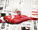 黄金比　基本の煮魚　魚の煮付け（キンキ）作り方2写真