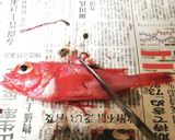 黄金比　基本の煮魚　魚の煮付け（キンキ）作り方3写真