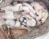 若いかのカボス塩辛作り方4写真