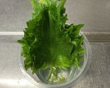 大葉の救済！作り方5写真