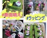 バレンタイン米粉の狭山茶Gatoショコラ作り方16写真