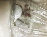 塩唐揚げの甘酢きのこあんかけ作り方5写真