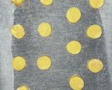 シンプルクッキー(HM使用)作り方9写真