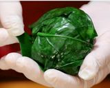 大和寒熟ほうれん草のおにぎり【食遺産】作り方8写真