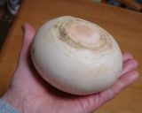 レンジで簡単～かぶら蒸し作り方1写真