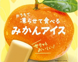 【ひと手間で簡単】ひとくちアイス作り方4写真