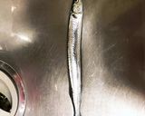 釣れたてサヨリのお刺身作り方1写真