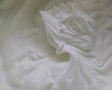リュウジさんのティラミス作り方4写真