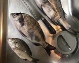 チヌのこっくり煮付け作り方2写真
