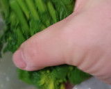 簡単すぎる！菜の花とシラスの生姜和え作り方3写真