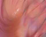 可愛い春色♪米粉のフルーツガレット作り方6写真