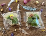簡単♡ほろ苦おとな抹茶生チョコ作り方9写真
