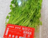 アンチョビで♪サラダセロリとエビのサラダ作り方8写真