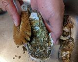 愛知の魚100　簡単♪蒸しカキ作り方2写真
