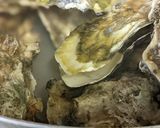 愛知の魚100　簡単♪蒸しカキ作り方4写真
