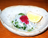 釜揚げしらすと胡瓜の酢の物　梅肉添え作り方10写真