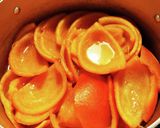 たんかんピール作り方3写真