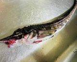 北海道【ハッカク】握り寿司とお刺身作り方3写真
