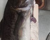 釣ったマダラの白子の処理作り方1写真