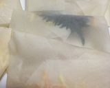 しらす大葉チーズで、焼き春巻き作り方3写真