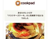 材料5つの神レシピ♡バスクチーズケーキ作り方9写真