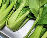 チンゲン菜~♪オイスターソースで炒めるよ作り方6写真
