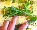 花が咲いた菜の花を❤毎日食卓に春を届けて作り方2写真