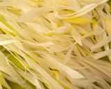 長ねぎの韓国風クタクタ炒め作り方1写真