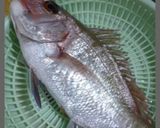 ★丸ごと一匹★鯛さばき作り方15写真