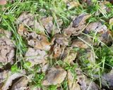 豆苗の和風炒め作り方3写真