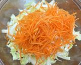 塩麹deゆず香る白菜和え作り方1写真
