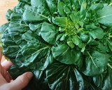 簡単ターサイの中華あんかけの作り方。作り方1写真