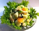 作り置き蒸し鶏のポテトサラダ　発酵玉葱作り方7写真
