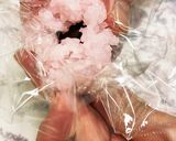ひな祭り✿お雛様に超簡単な桜もち✿作り方15写真