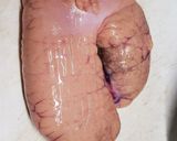 マダラ子の漬け作り方1写真