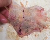 マダラ子の漬け作り方5写真