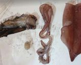 イカ焼き(イカの姿焼き、イカの丸焼き)作り方1写真