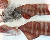 イカ焼き（イカの姿焼き、イカの丸焼き）作り方2写真